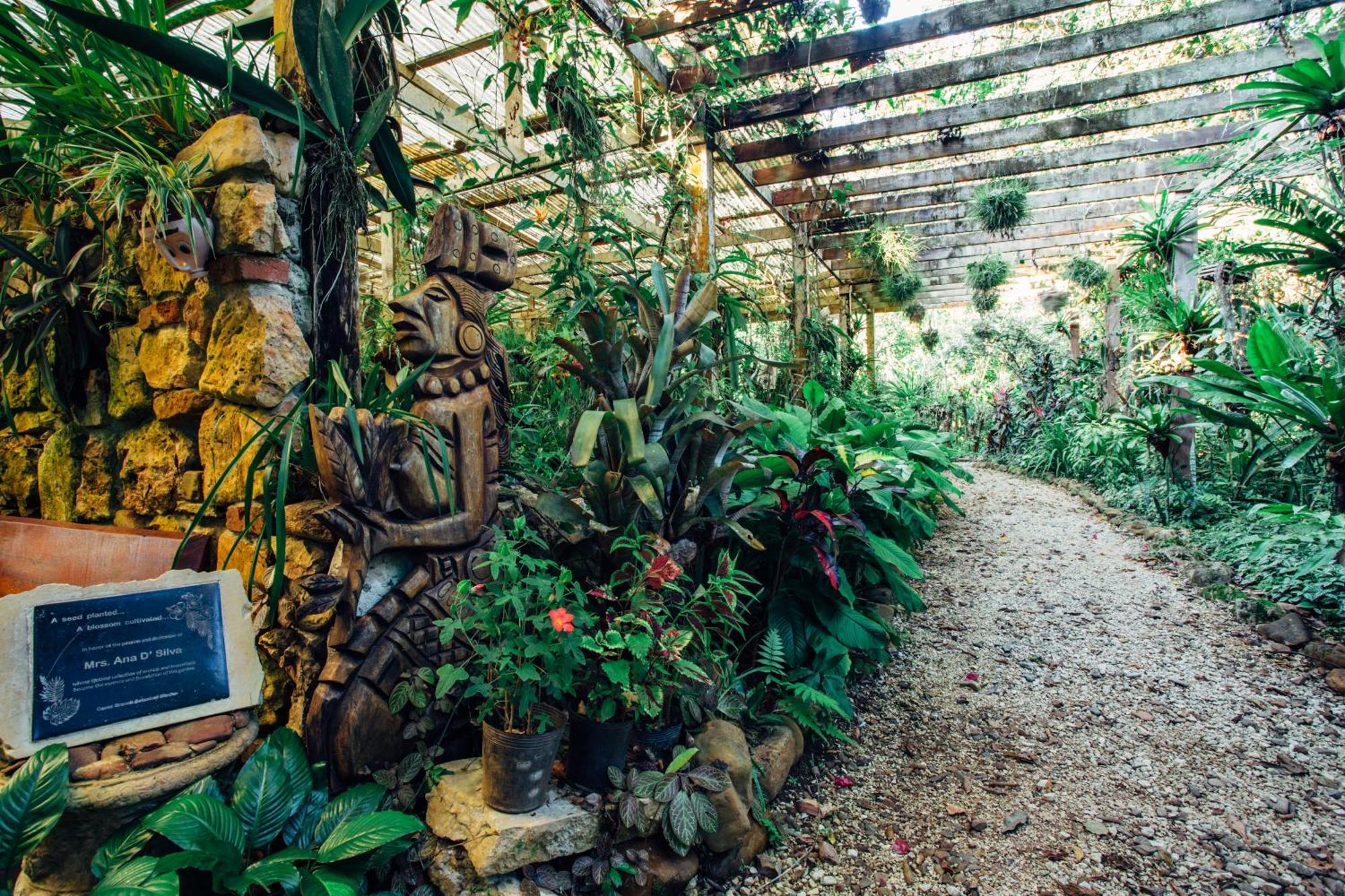 Ian Anderson Caves Branch Jungle Lodge Belmopan Kültér fotó