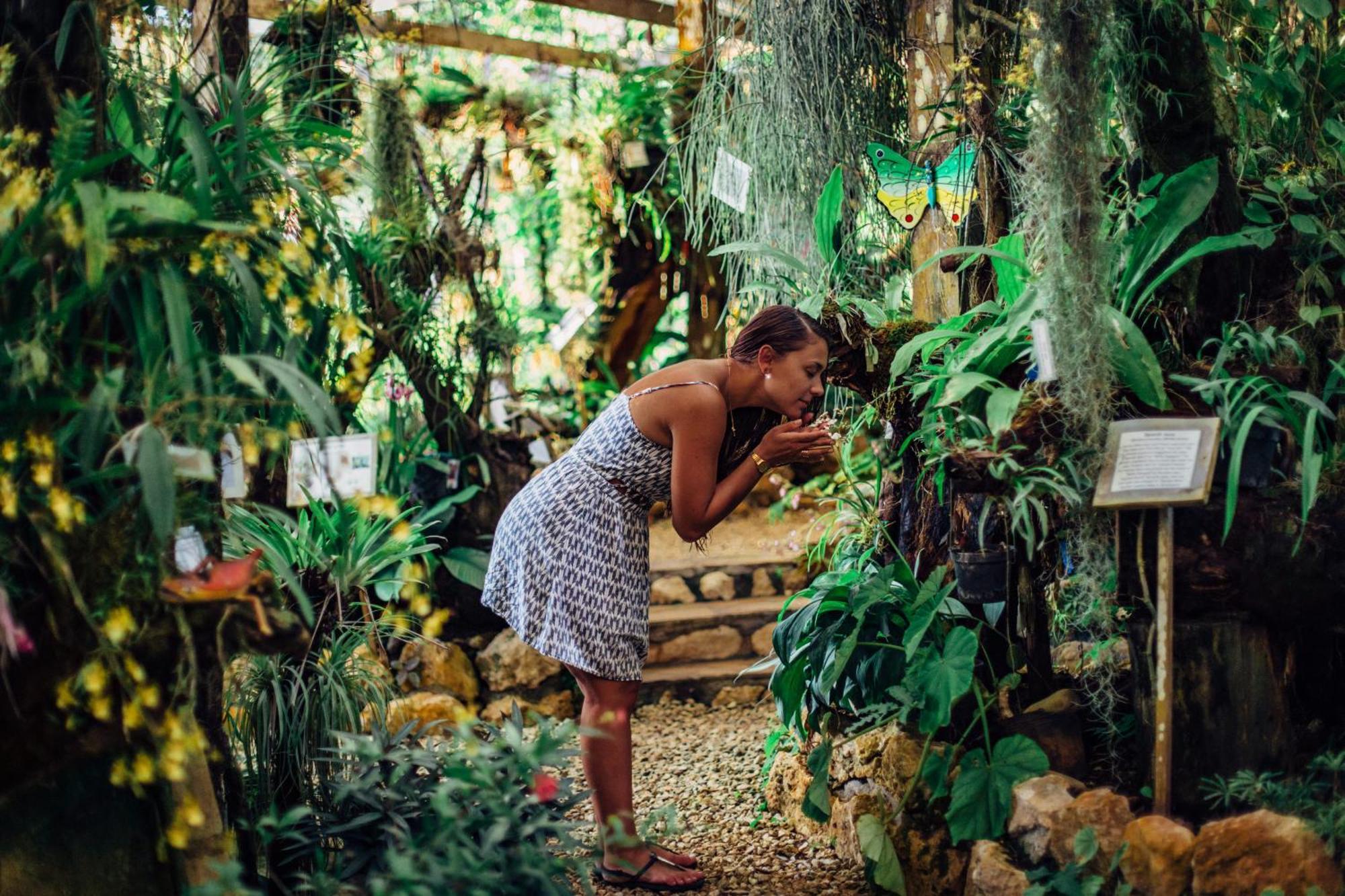 Ian Anderson Caves Branch Jungle Lodge Belmopan Kültér fotó